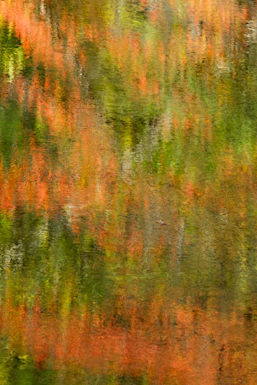 Abstract;Abstractions;Autumn;Boulder;Brook;Chatsworth;Chattahoochee National Forest;Creek;Fall;Foliage;Geological;Geology;Georgia;Holly Creek;Holly Creek Preserve;Leaf;Leafy;Leaves;Patterns;Reflection;Reflections;Rivulet;Rock;Rock Formations;Rocks;Shapes;Stone;Stones;Stream;Streamlet;Striation;Textures